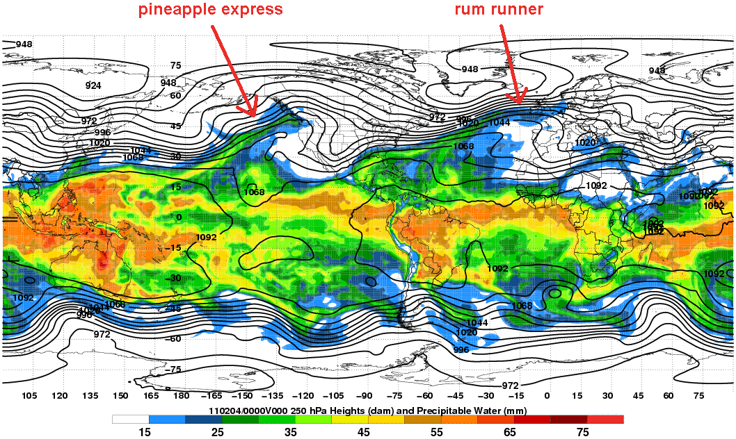 Precipitable Water: Pineapple Express and Rum Runner